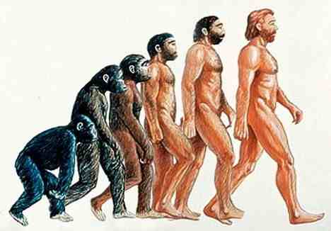 【驚愕】進化論を信じていないアメリカ人の割合・・・